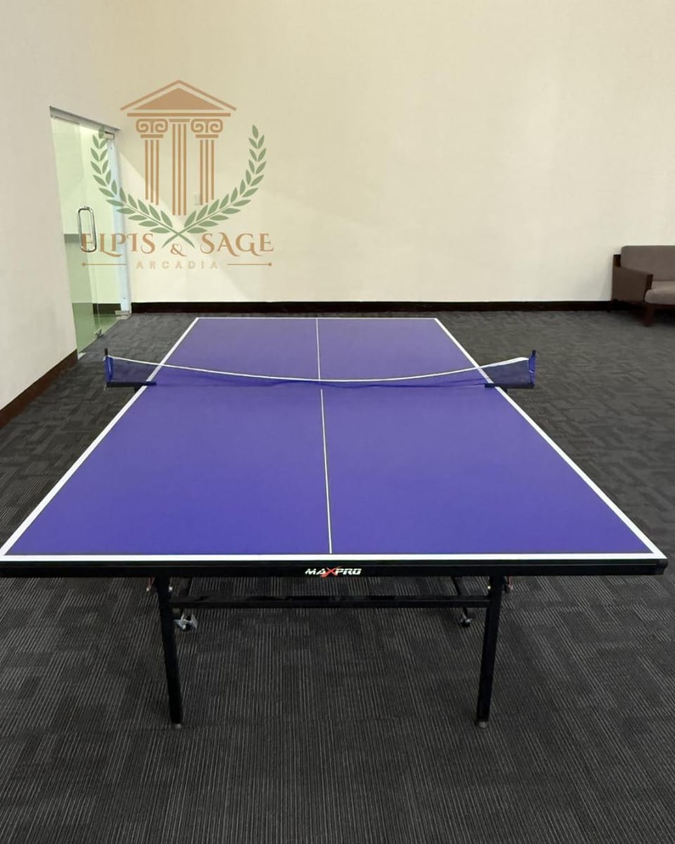 Game Room, Table tennis