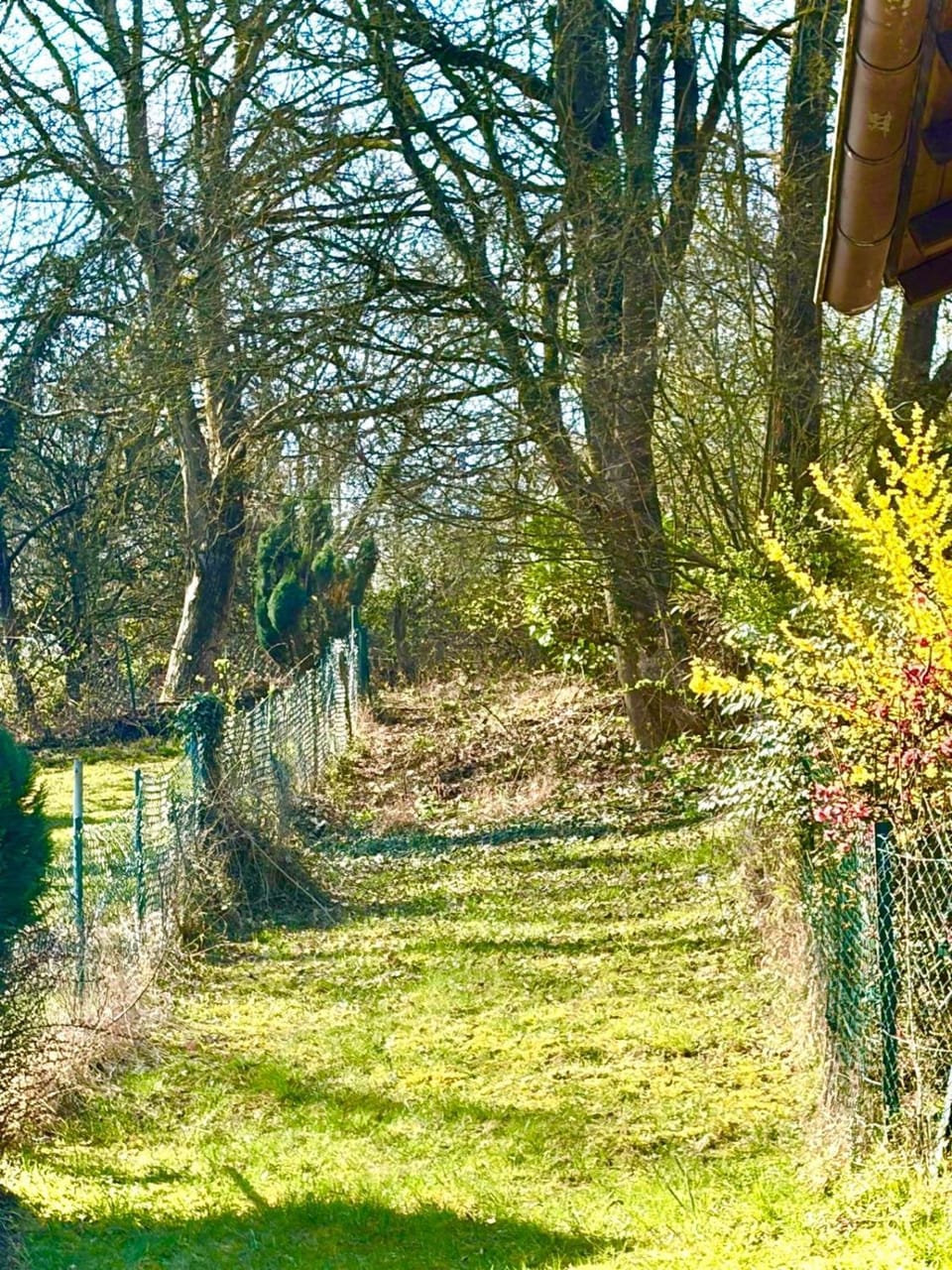 Ruhige Ferienwohnung im Grünen - Nähe Rheinsteig Apartment in Rhineland-Palatinate