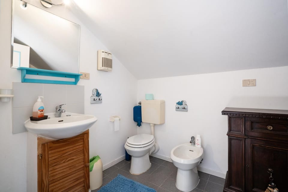 Toilet, Bathroom, bidet