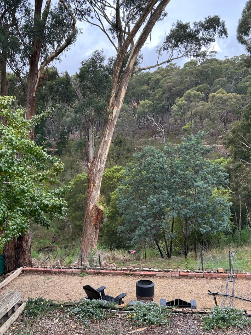 Forest view apartment Hepburn springs Apartment in Daylesford