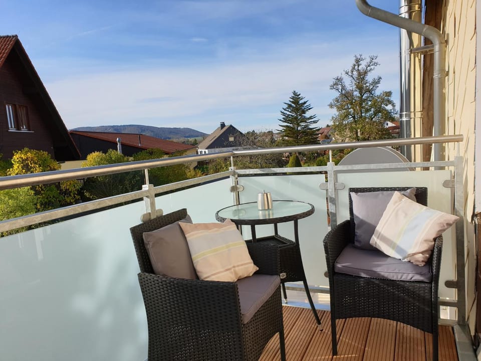 Ferienwohnung Laura Apartment in Goslar