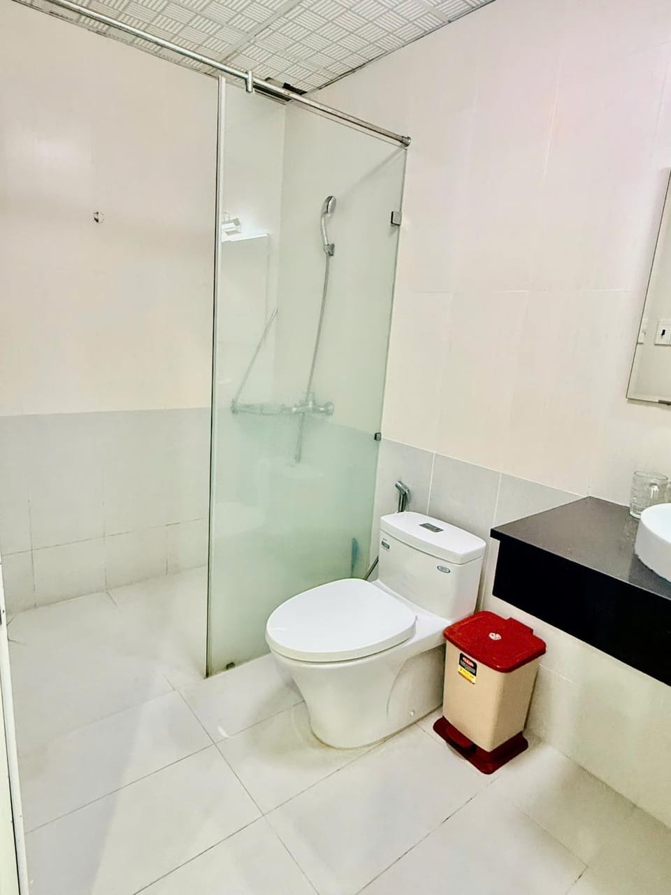 Toilet, Bathroom, bidet