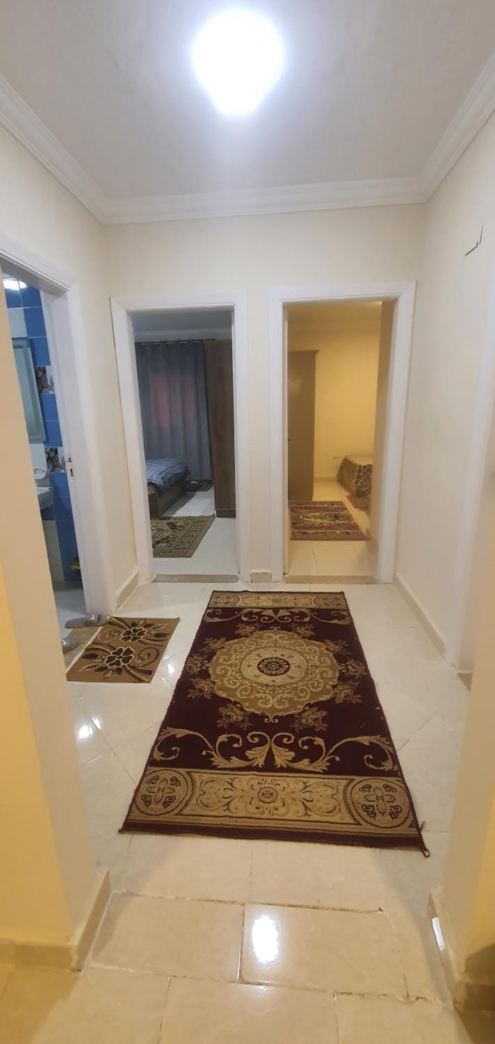 شقه مفروشه للايجار كمبوند جاردينيا سيتي 5 Apartment in New Cairo City