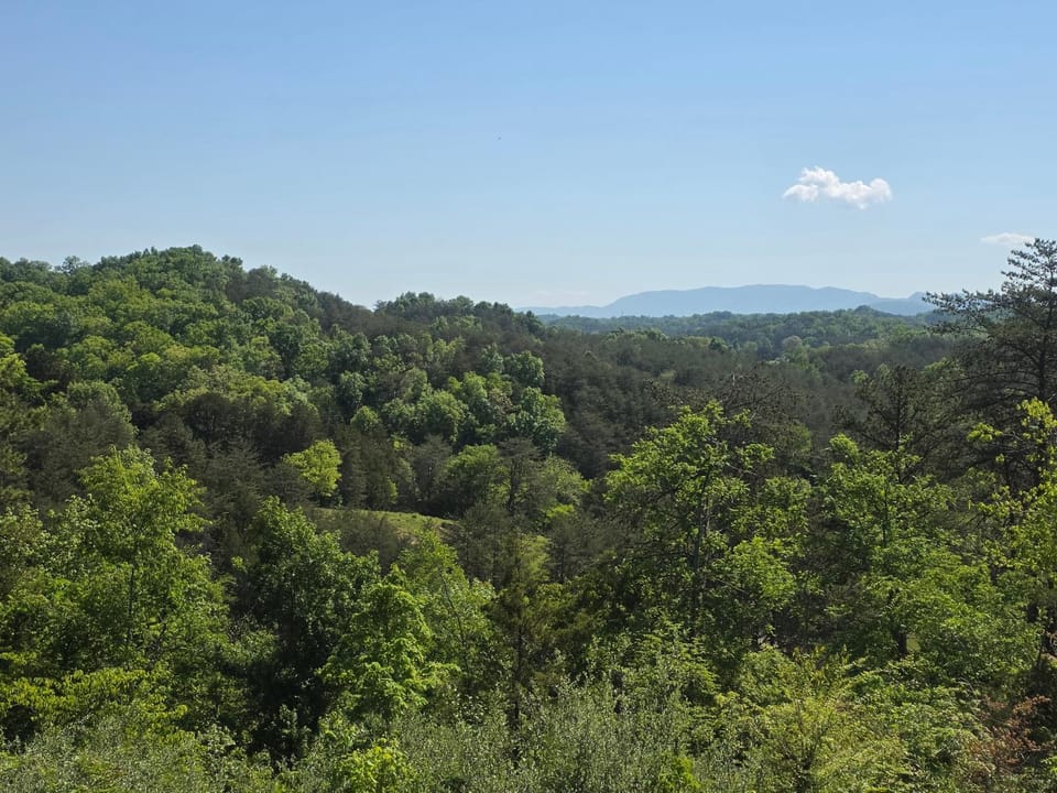 Mountain view