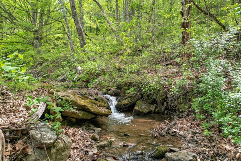 Apple Cider House - 10 min to Asheville, Creekside, Fire Table and Games Farm Stay in Asheville