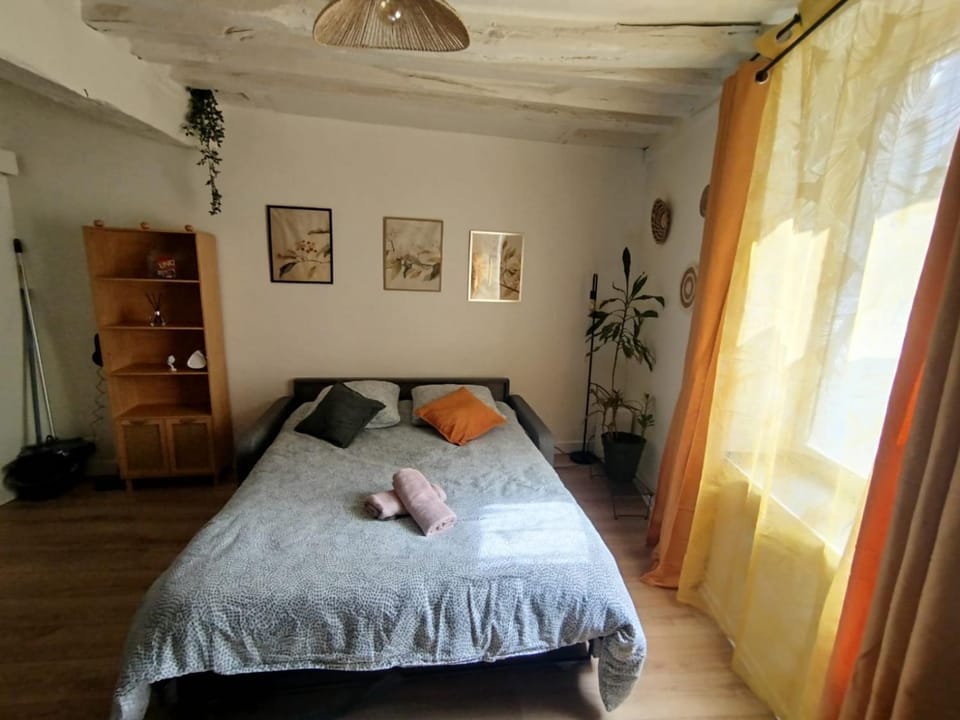 Le Petit Cocon d'Orléans Apartment in Orléans