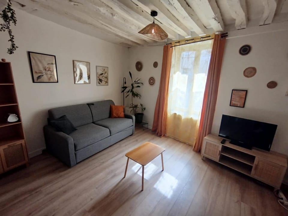 Le Petit Cocon d'Orléans Apartment in Orléans
