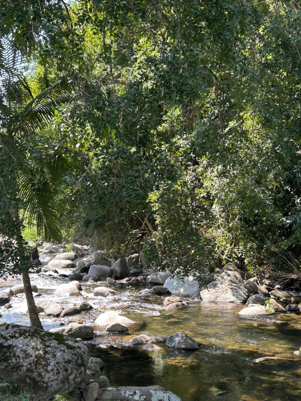 Particular com Cachoeira em Paraty House in State of Rio de Janeiro