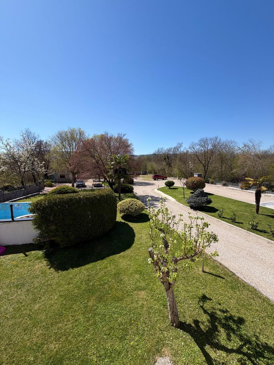 Garden view