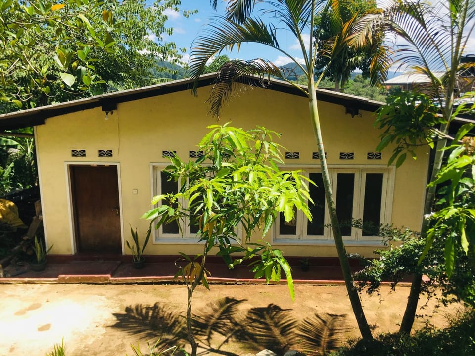 Property building, Garden view