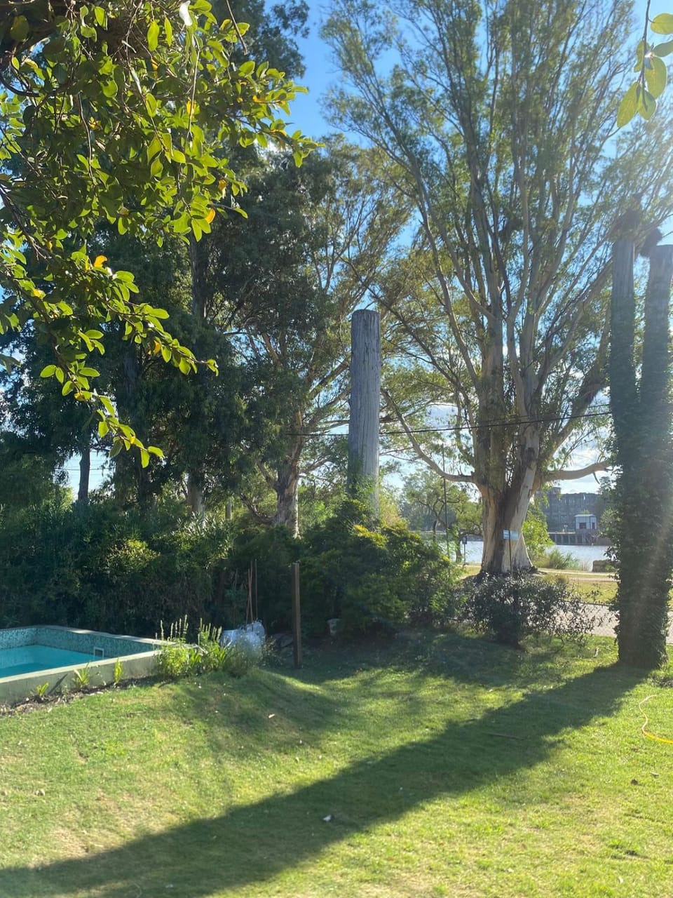 Natural landscape, Garden, Garden view, Pool view, Swimming pool