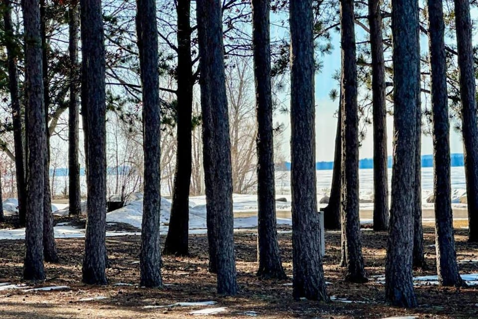 Castle Rock's Serenity Cabin Cabin in Castle Rock Lake