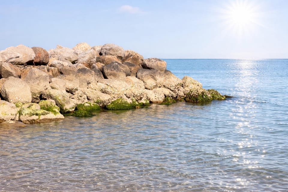 Sea view