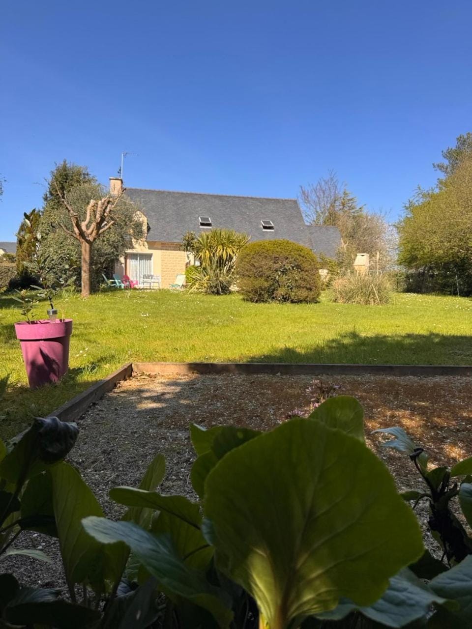 Garden, Garden, Garden view