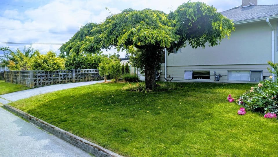Property building, Spring, Garden