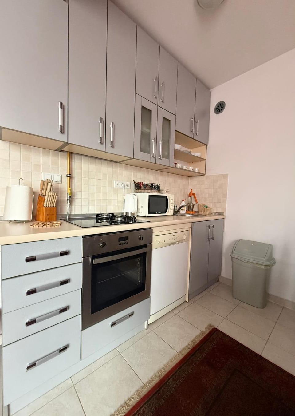 Kitchen or kitchenette, dishwasher, oven, stove