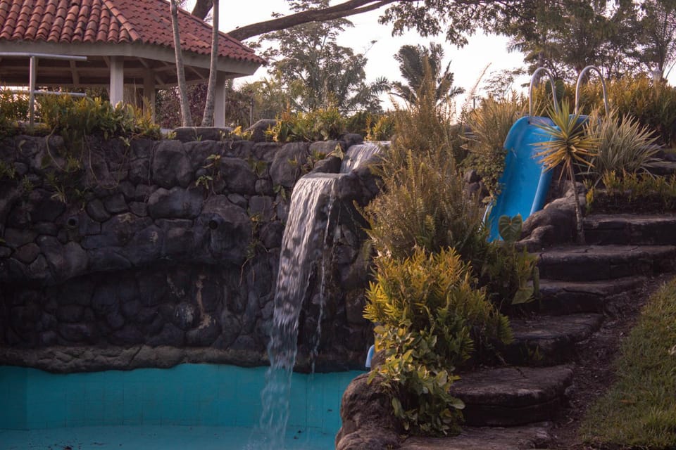 Spring, Day, Natural landscape, Garden, Garden view, Swimming pool
