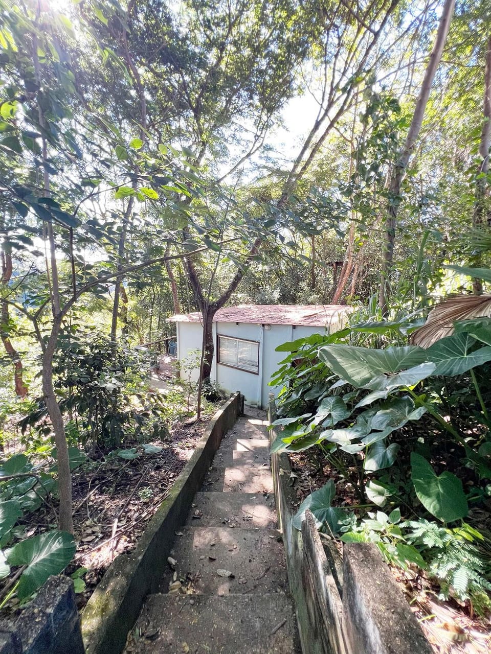 Casinha Natureza House in State of Goiás