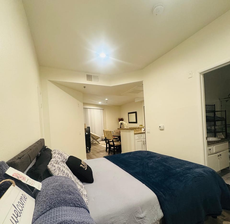 Lacma Amazing Studio Apartment Apartment in San Fernando Valley