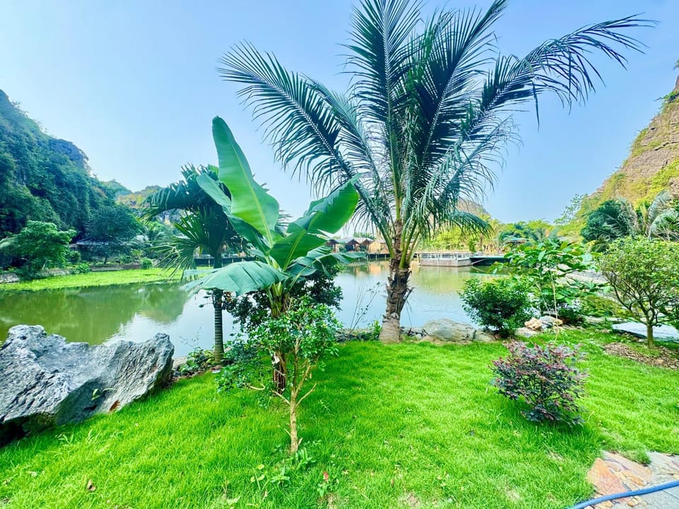 Spring, Day, Natural landscape, Garden, Garden view, Lake view