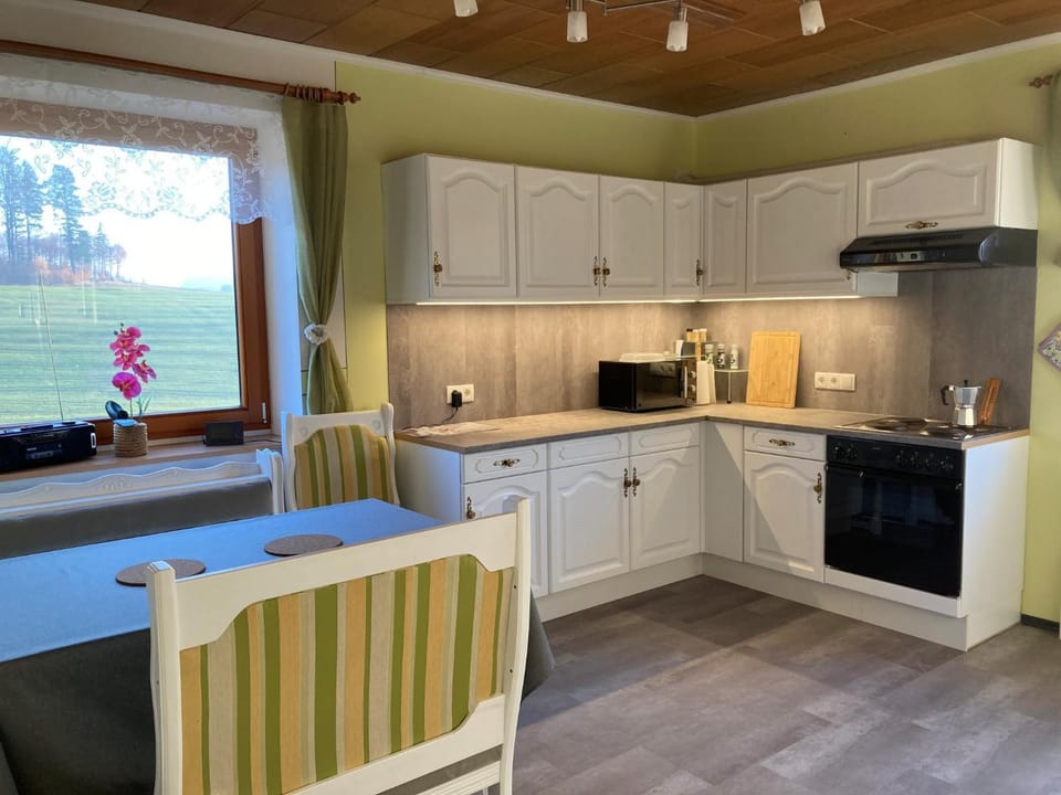 Kitchen or kitchenette, Dining area, oven, stove