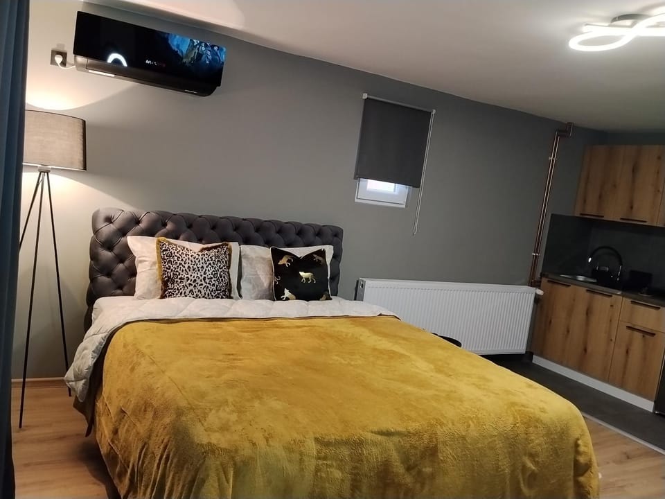 Bed, Kitchen or kitchenette, Bedroom