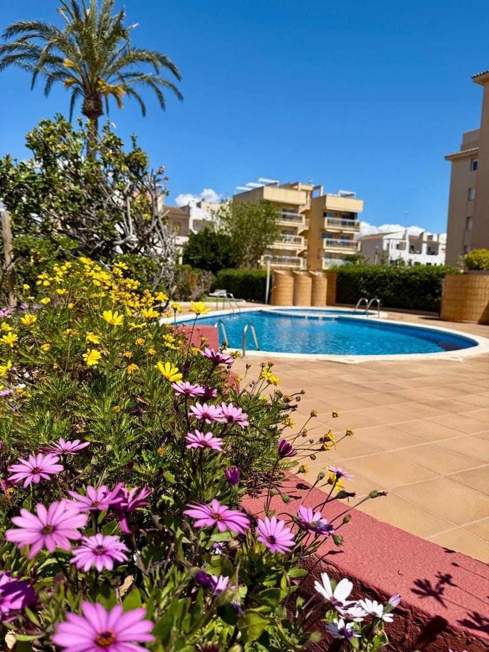 Swimming pool, Swimming pool