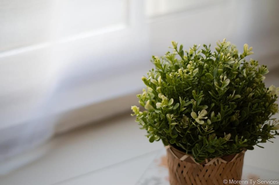 Cozy studio in Saint-Hélier close to Rennes train station Apartment in Rennes