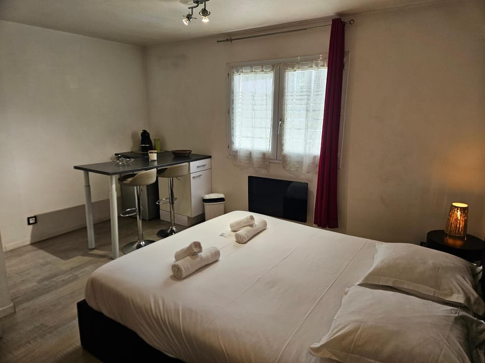 Functional studio between train station and center Apartment in Vannes