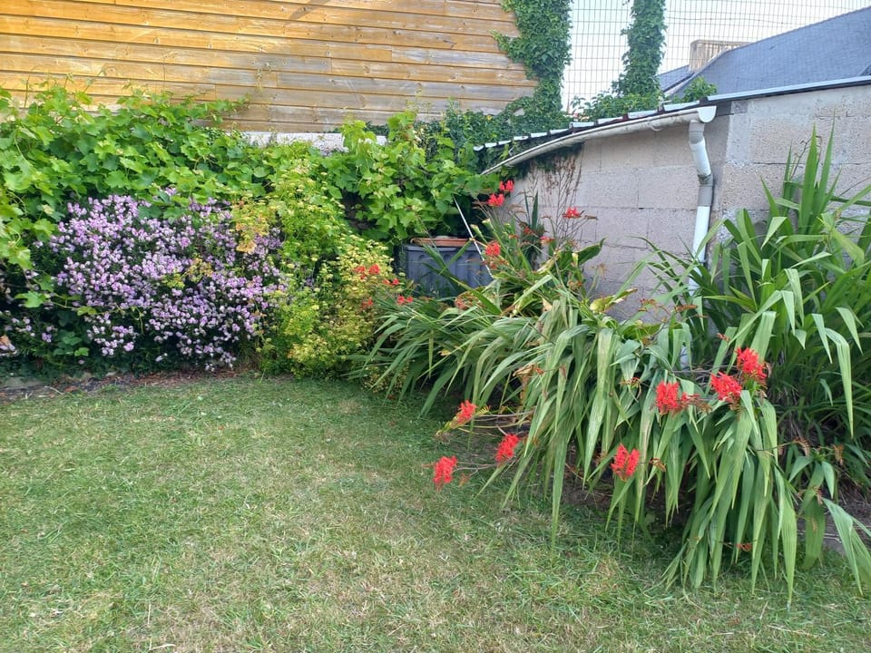 Spring, Garden