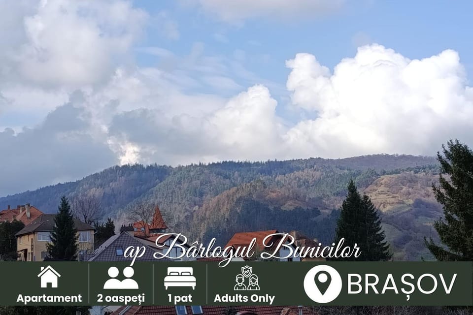 Ap Bârlogul Bunicilor Apartment in Brasov