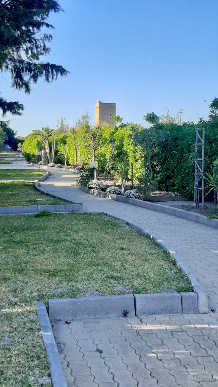 Natural landscape, Garden, Garden view