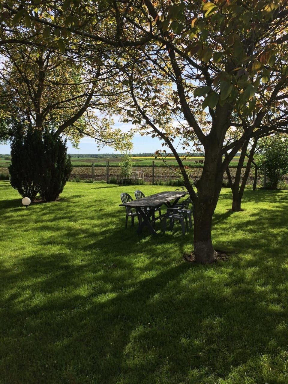 Natural landscape, Garden
