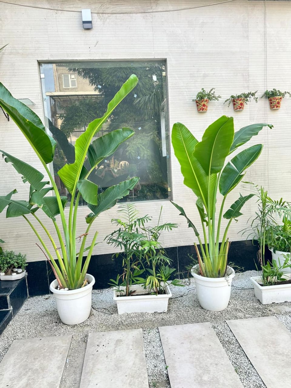 Day, Garden, Garden view