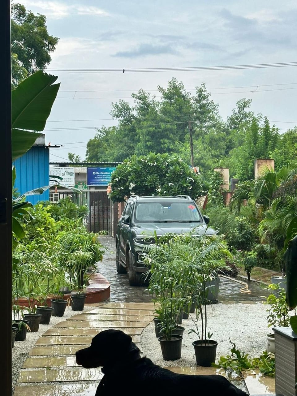 Garden, Garden view, Parking