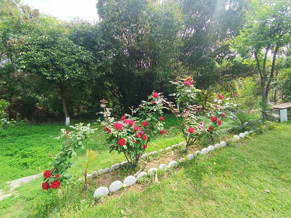 Garden view, Landmark view