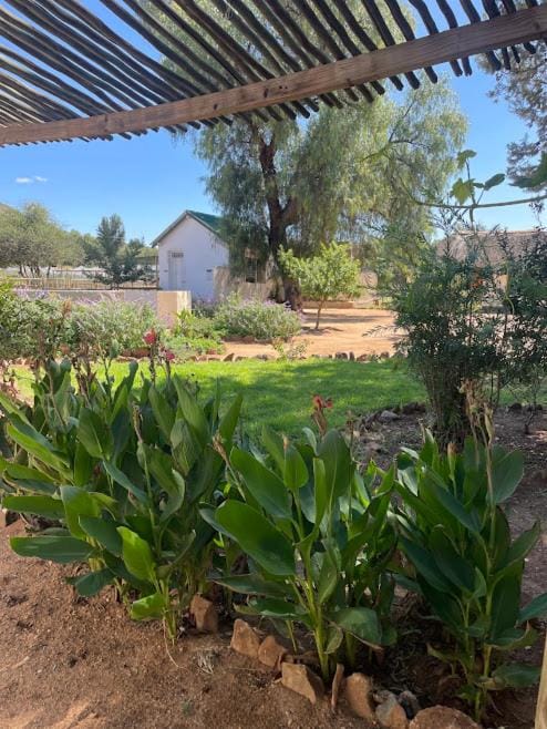Hooves and Gardens - Aris Horse Riding Farm Stay in Khomas Region, Namibia