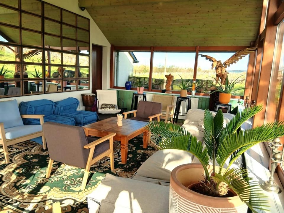 Patio, Day, View (from property/room), Living room, Seating area