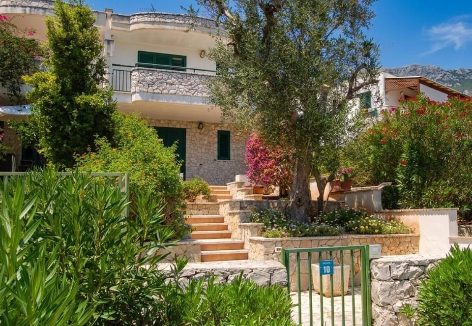 La Terrazza degli Ulivi House in Santa Cesarea Terme
