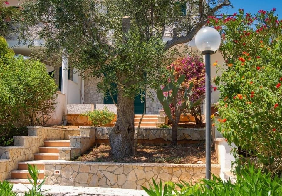 La Terrazza degli Ulivi House in Santa Cesarea Terme