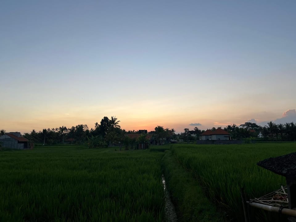 Pondok Songkir Bed and Breakfast in Abiansemal