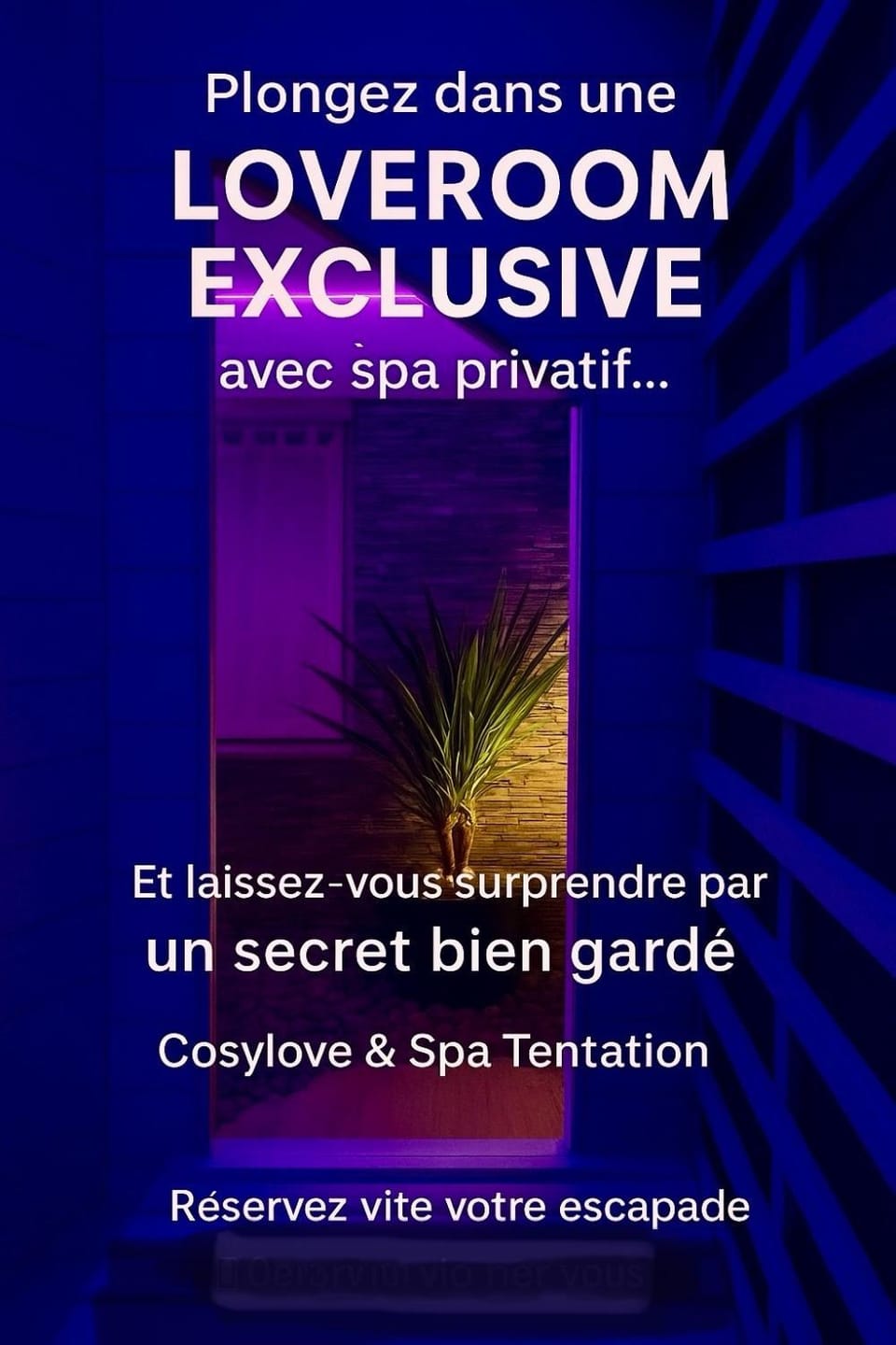 Cosy love et spa-tentation loveroom Apartment in Vosges