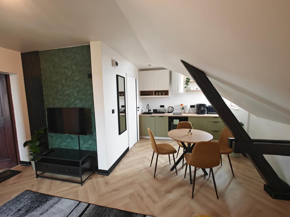 Apartament Leon Apartment in Lower Silesian Voivodeship