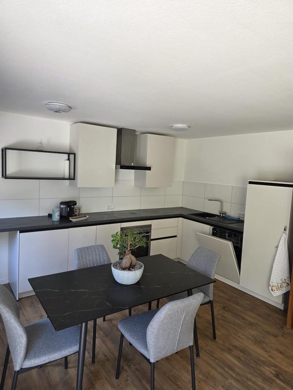 Kitchen or kitchenette, Living room, Seating area, Dining area, oven, stove