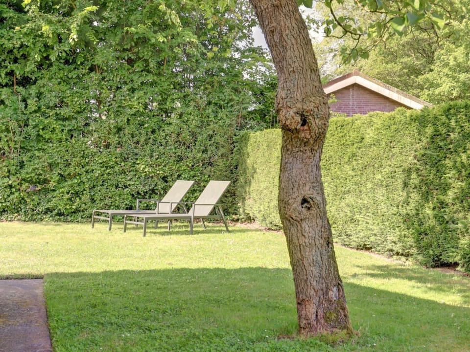Summer, Garden