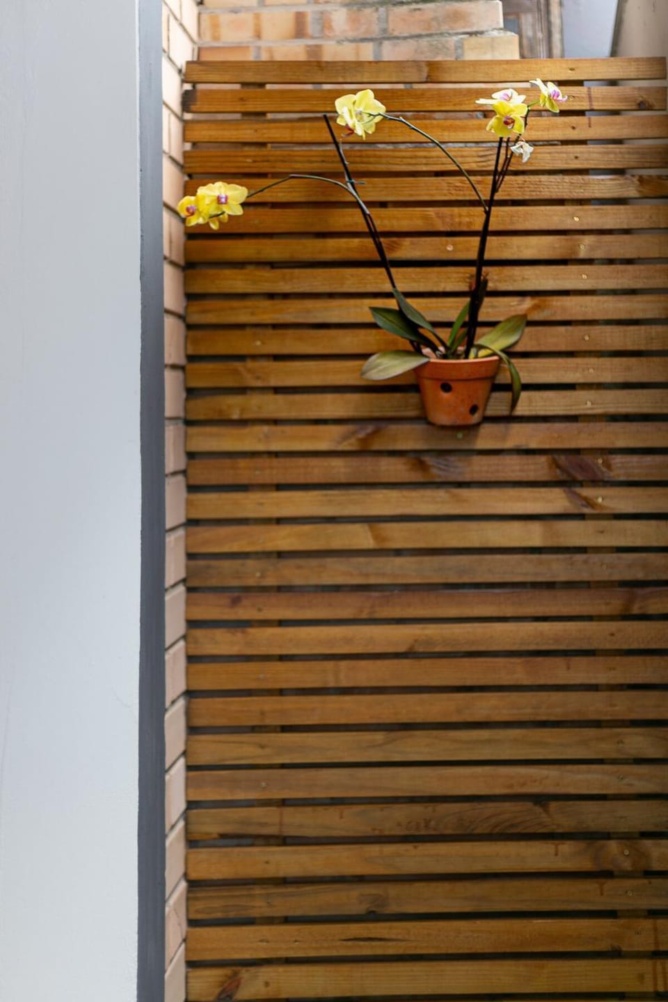 Morada da Maré House in Florianopolis