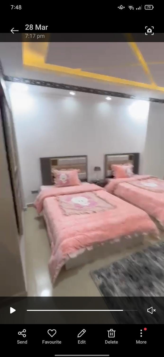 الزمالك Apartment in Cairo