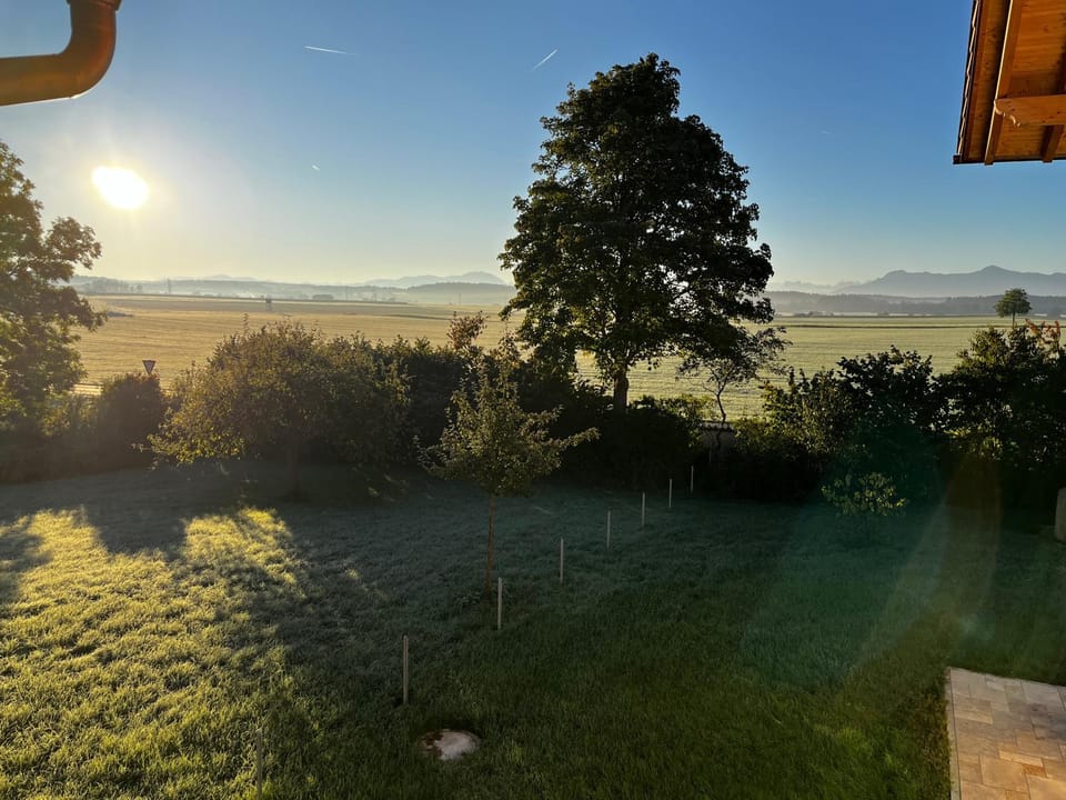Property building, Sunrise