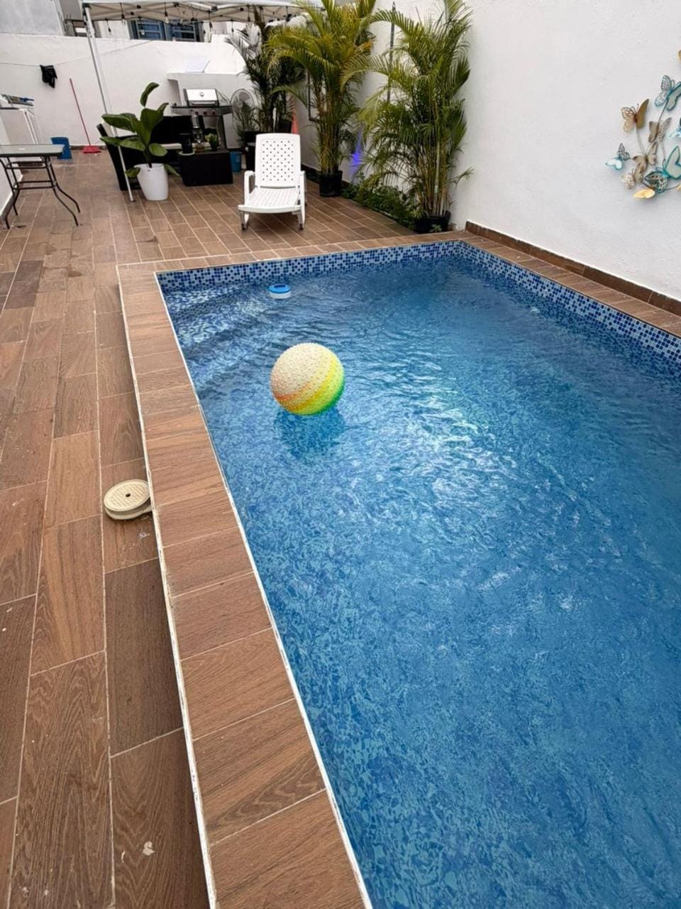 Day, Pool view, Swimming pool, sunbed