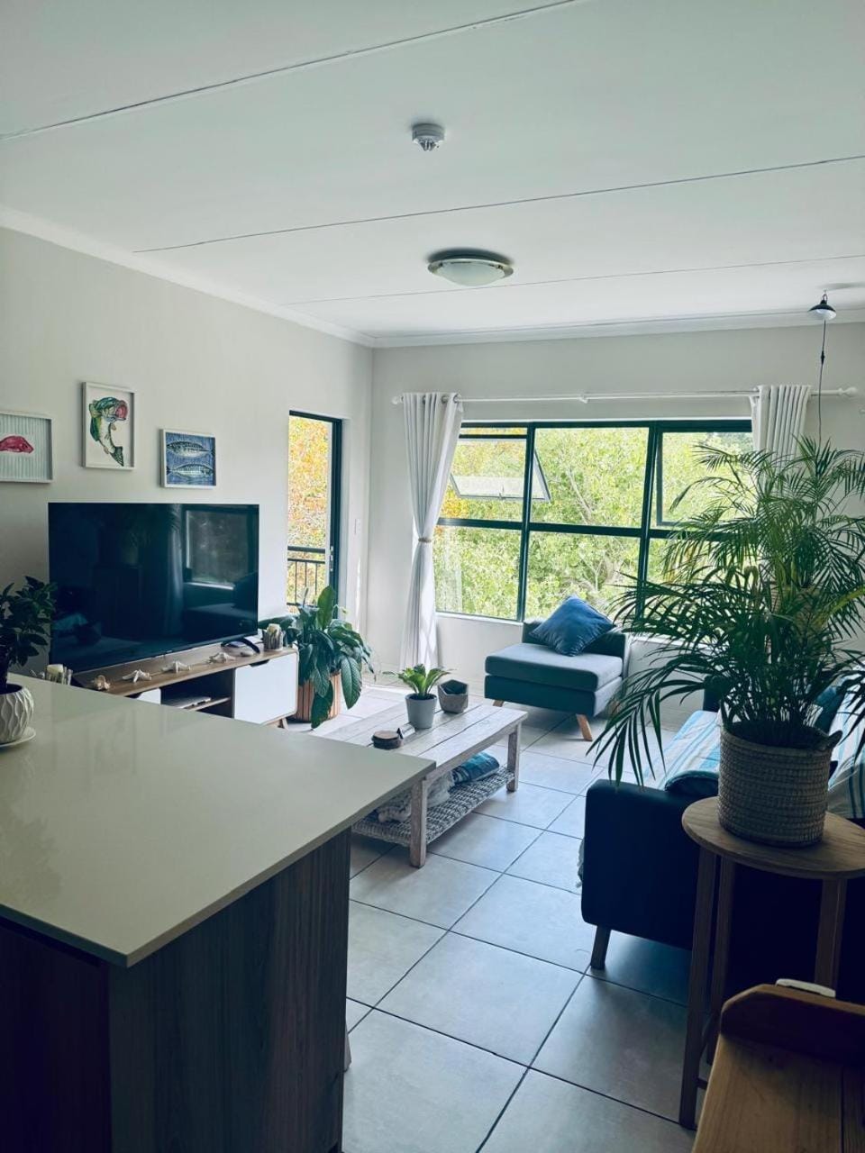 The Zhen Apartment in Cape Town